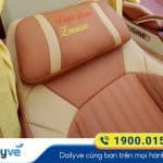 tien-nghi-hien-dai-dong-xe-limousine-30-phong-cua-nha-xe-khanh-hoan